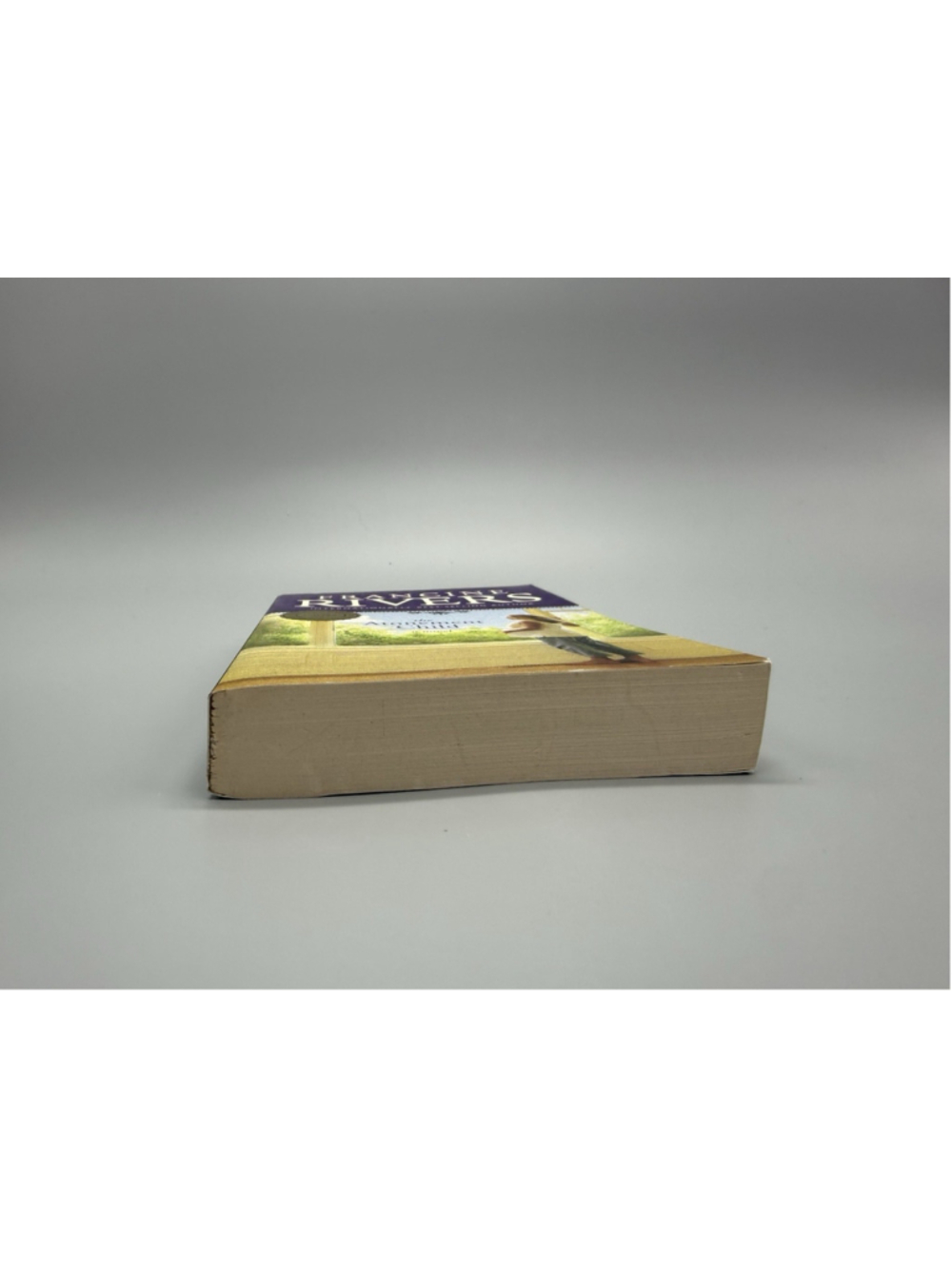 Francine Rivers The Atonement Child Trade Paperback Novel 1999 Tyndale - Picture 6 of 6